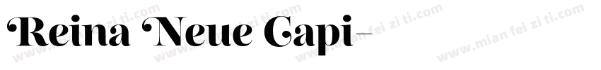 Reina Neue Capi字体转换